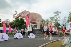 BIB: 
                            <button type="button" onclick="openModal(26528438)" class="btn btn-primary btn-sm float-right btn-popup" data-toggle="modal" data-target=".modal-high-quality">
                        <i class="fas fa-shopping-cart"></i> Add to Cart
                    </button>
                                            <button type="button" onclick="isThisMe(26528438, true)" class="btn btn-success btn-sm float-right btn-popup btn-isme hidden" data-toggle="tooltip" data-placement="bottom" title="นี่คือรูปของคุณใช่ไหม คลิกที่นี่เพื่อเอาเข้าอัลบั้ม">
                        <i class="fas fa-plus"></i> Add to album
                    </button>
                    <button type="button" onclick="isThisMe(26528438, false)" class="btn btn-warning btn-sm float-right btn-popup btn-isnotme hidden">
                        <i class="fas fa-ban"></i> Remove from album
                    </button>